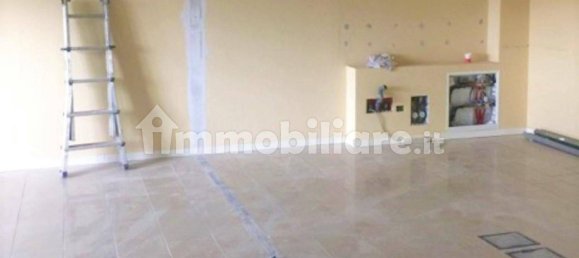 Gewerbliche Immobilie in Castel Guelfo di Bologna, Italy 485m², Nr. 317026 6