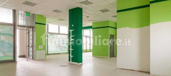 Gewerbliche Immobilie in Castel Guelfo di Bologna, Italy 485m², Nr. 317026 18