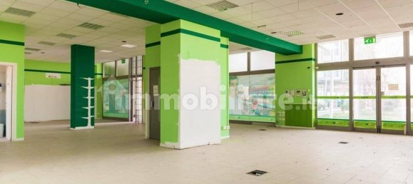 Gewerbliche Immobilie in Castel Guelfo di Bologna, Italy 485m², Nr. 317026 21