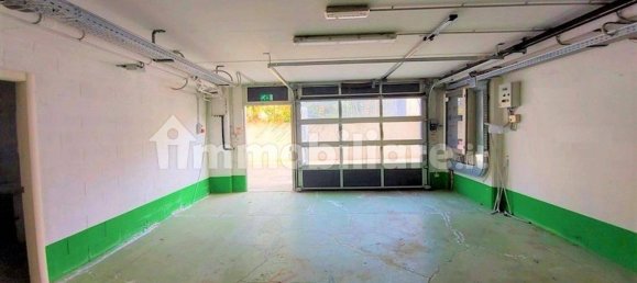 Gewerbliche Immobilie in Castel Guelfo di Bologna, Italy 485m², Nr. 317026 2