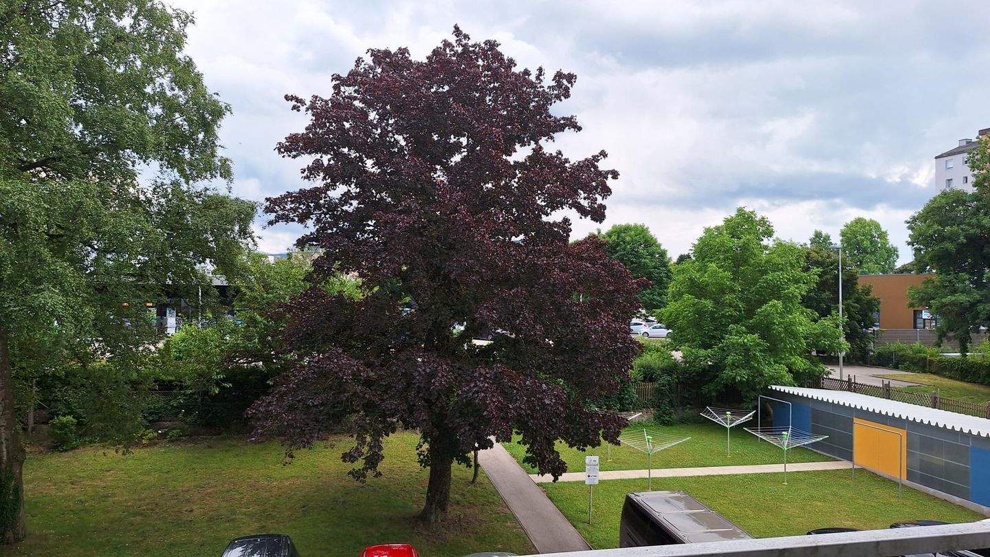 3غرفة شقة في Vocklabruck, Austria رقم 145983