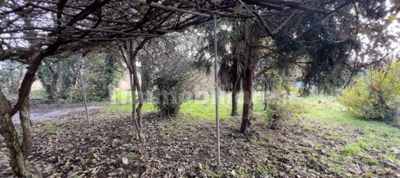 1 bedroom House in Bellinzago Novarese, Italy No. 82865 33