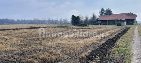 1 bedroom House in Bellinzago Novarese, Italy No. 82865 24