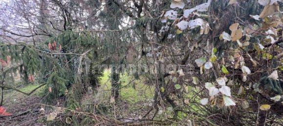 1 bedroom House in Bellinzago Novarese, Italy No. 82865 44