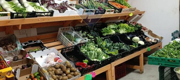 2 rooms Commercial property in Rome, Italy No. 356197 4