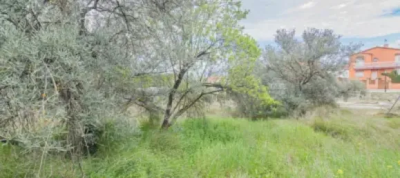 Land in Cullar Vega, Spain No. 175254 11