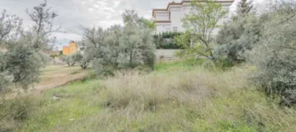Land in Cullar Vega, Spain No. 175254 5