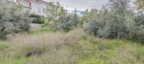 Land in Cullar Vega, Spain No. 175254 6