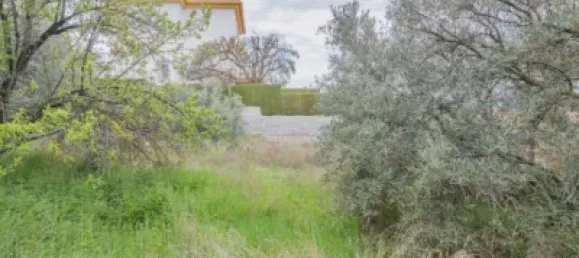 Land in Cullar Vega, Spain No. 175254 8