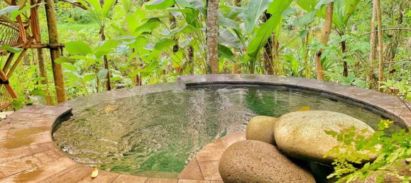 1 bedroom Villa in Ubud, Indonesia No. 19 10