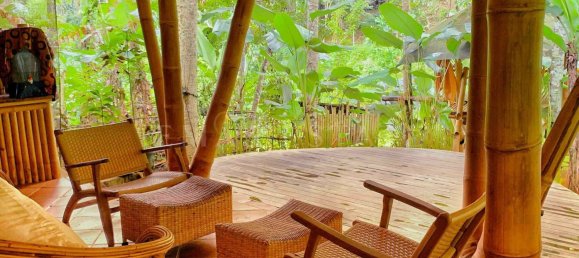 1 bedroom Villa in Ubud, Indonesia No. 19 4