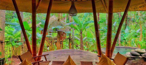 1 bedroom Villa in Ubud, Indonesia No. 19 3