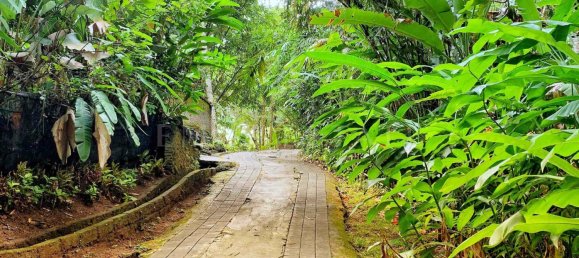 1 bedroom Villa in Ubud, Indonesia No. 19 26