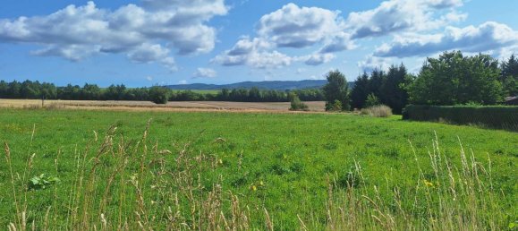 3 Schlafzimmer Bungalow in Wartburgkreis, Germany, Nr. 282912 13