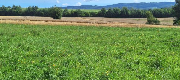 3 Schlafzimmer Bungalow in Wartburgkreis, Germany, Nr. 282912 15