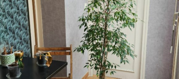 3 Schlafzimmer Haus in La Ferte-Imbault, France, Nr. 212237 11