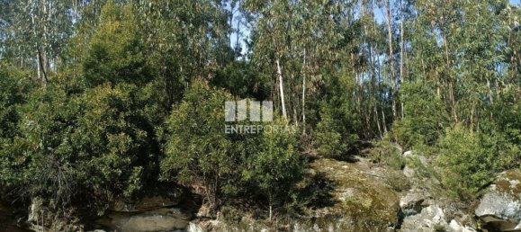 Terreno en Penafiel, Portugal 7200 m² No. 63932 7