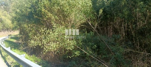 Terreno en Penafiel, Portugal 7200 m² No. 63932 11