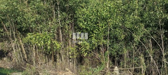 Terreno en Penafiel, Portugal 7200 m² No. 63932 14