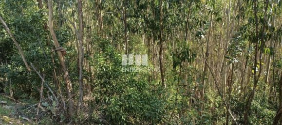 Terreno en Penafiel, Portugal 7200 m² No. 63932 6