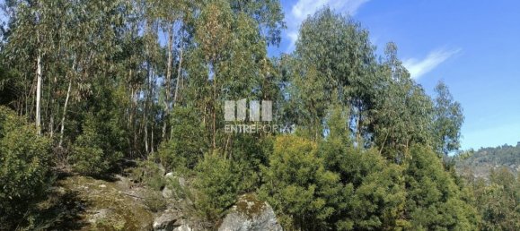 Terreno en Penafiel, Portugal 7200 m² No. 63932 16