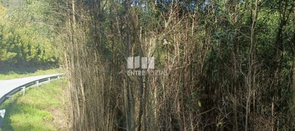 Terreno en Penafiel, Portugal 7200 m² No. 63932 3