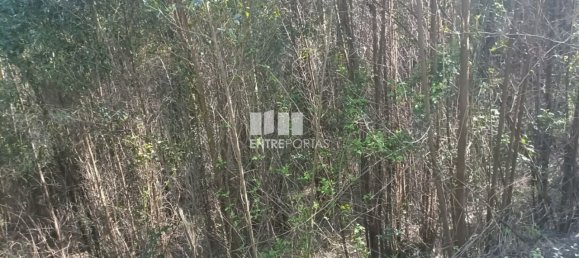 Terreno en Penafiel, Portugal 7200 m² No. 63932 15