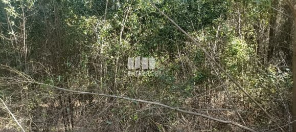 Terreno en Penafiel, Portugal 7200 m² No. 63932 9