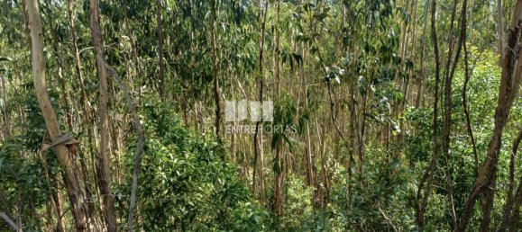 Terreno en Penafiel, Portugal 7200 m² No. 63932 4