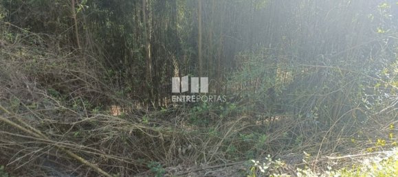 Terreno en Penafiel, Portugal 7200 m² No. 63932 10