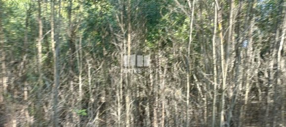 Terreno en Penafiel, Portugal 7200 m² No. 63932 2