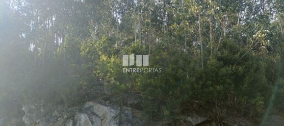 Terreno en Penafiel, Portugal 7200 m² No. 63932 5