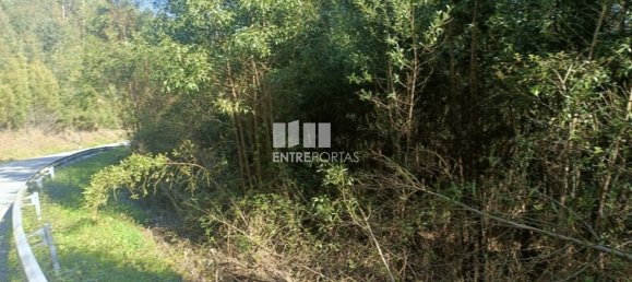 Terreno en Penafiel, Portugal 7200 m² No. 63932 12