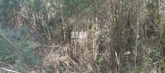 Terreno en Penafiel, Portugal 7200 m² No. 63932 13