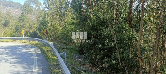 Terreno en Penafiel, Portugal 7200 m² No. 63932 8