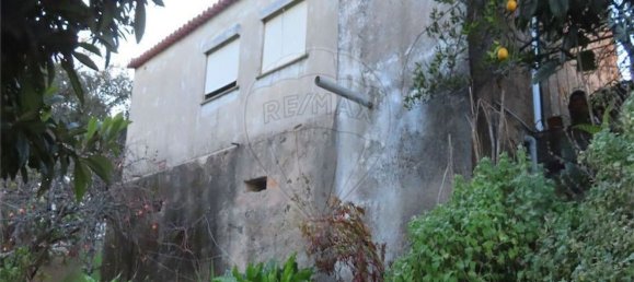 Casa T3 em Castelo Branco, Portugal N.º 180811 12