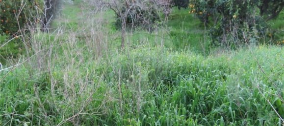 Casa T3 em Castelo Branco, Portugal N.º 180811 14