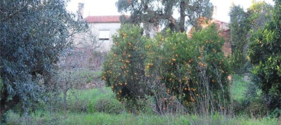 Casa T3 em Castelo Branco, Portugal N.º 180811 19