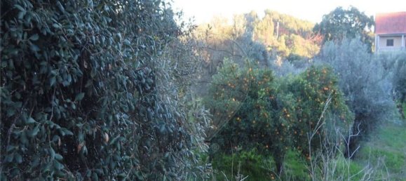 Casa T3 em Castelo Branco, Portugal N.º 180811 15