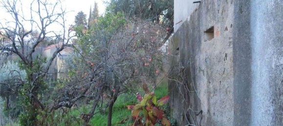 Casa T3 em Castelo Branco, Portugal N.º 180811 11