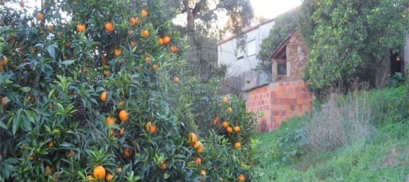 Casa T3 em Castelo Branco, Portugal N.º 180811 17