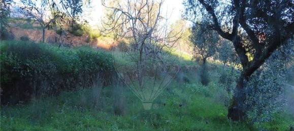 Casa T3 em Castelo Branco, Portugal N.º 180811 21