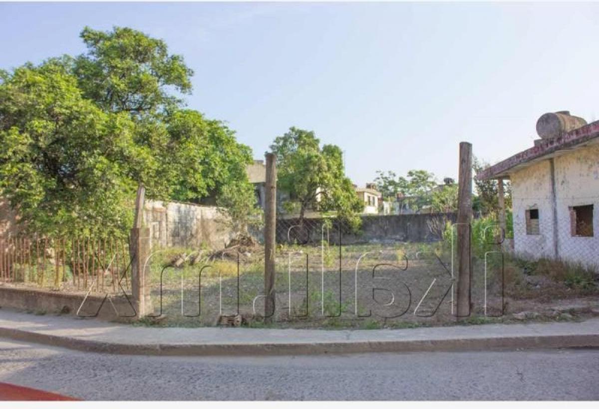  Land in Veracruz, Mexico No. 205745