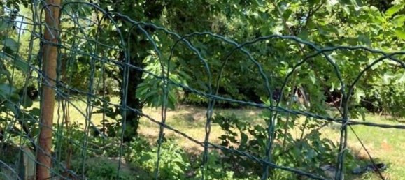 9 rooms Villa in Sarzana, Italy No. 164733 3