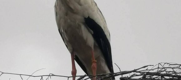 Terreno em Osterholz, Germany N.º 138888 9