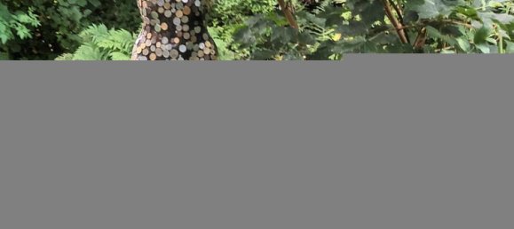 4-salle Bungalow à Cuxhaven, Germany No. 126174 5