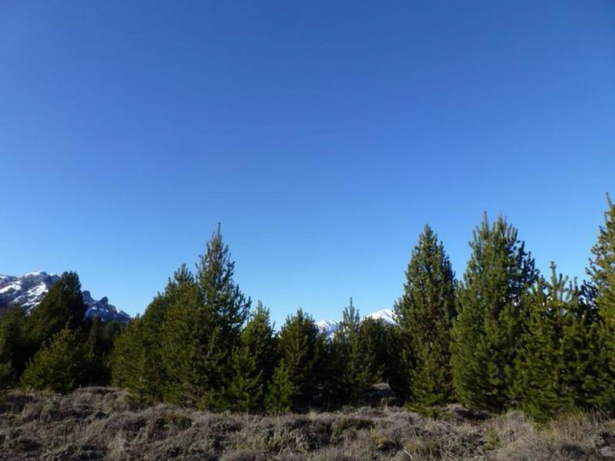 Grundstück in Neuquen, Argentina, Nr. 42704