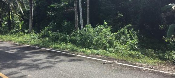 Propriété commerciale à Khok Kloi, Thailand 3766m² No. 8052 4