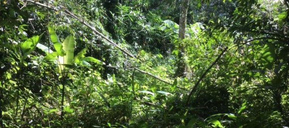 Propriété commerciale à Khok Kloi, Thailand 3766m² No. 8052 6