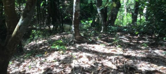 Propriété commerciale à Khok Kloi, Thailand 3766m² No. 8052 11